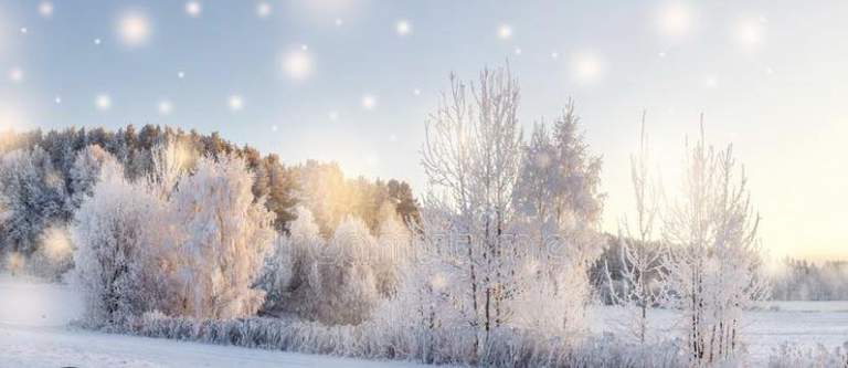 a magical winter landscape