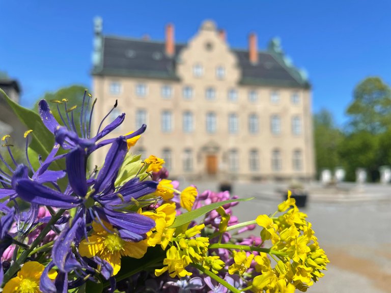 National Day in Djursholm 2025
