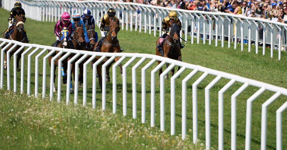 Nationaldagsgaloppen 2026 – National Day Horse Race – Östermalm