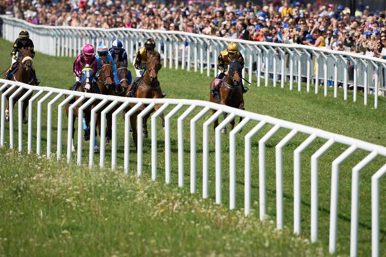 Nationaldagsgaloppen 2022