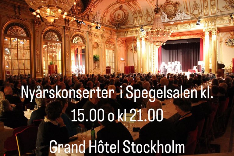 New Year's concert at the Grand hotel in the hall of mirrors