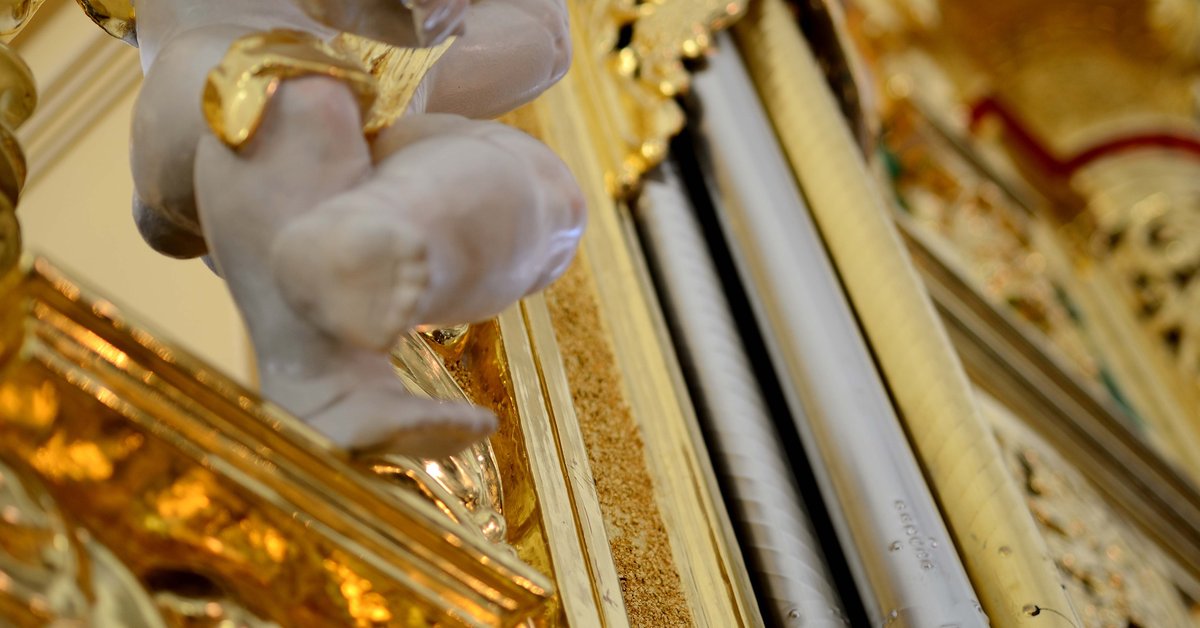 Organ Concert