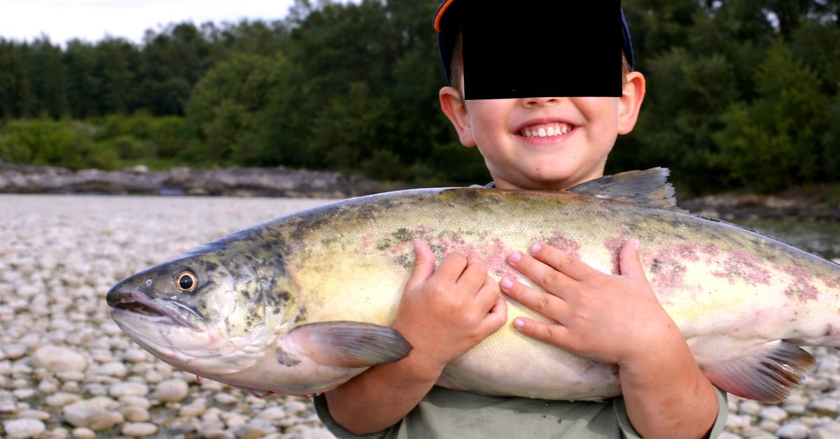 Parkteatern - The Right Way for Fish to Die – Stockholm