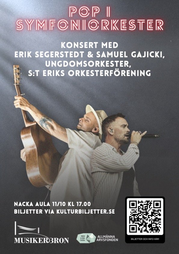 Pop in Symphony Orchestra with guests Erik Segerstedt and Samuel Gajicki