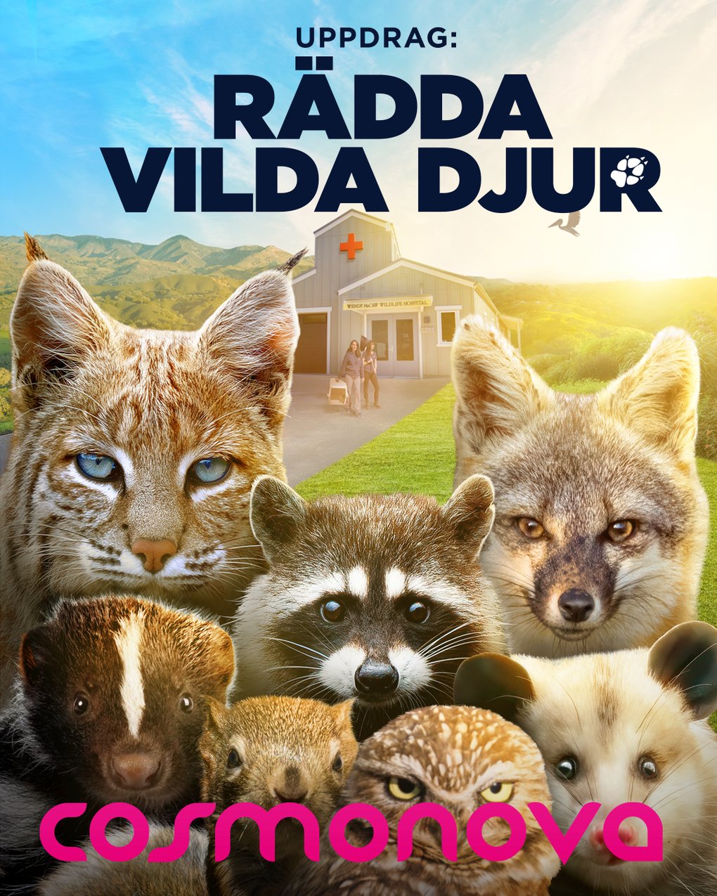 1080 x 1350 px_Rädda vilda djur_Cosmonovalogga.png