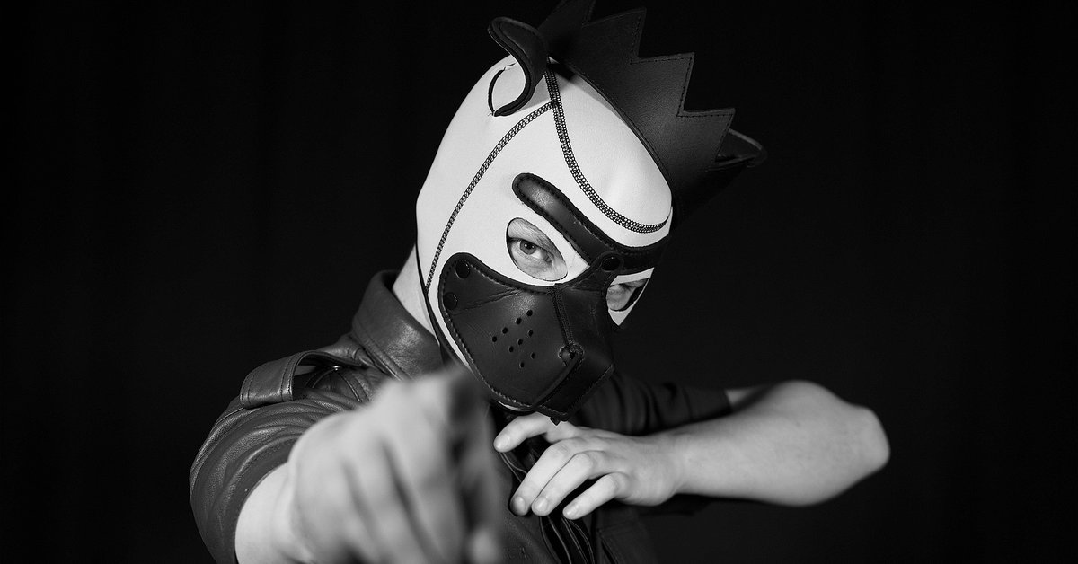 Pup Play: A queer pseudo-lecture (Part of #STOFF2026)