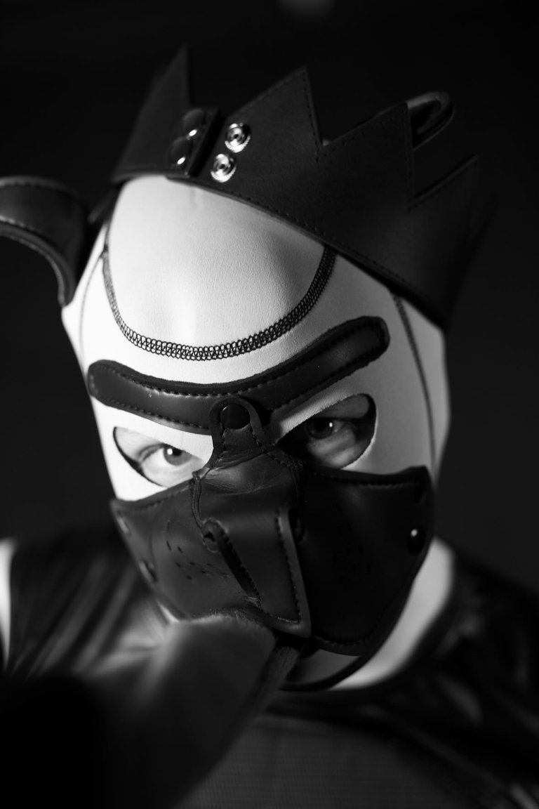 Pup Play: A Queer Pseudo-Lecture (of sorts)