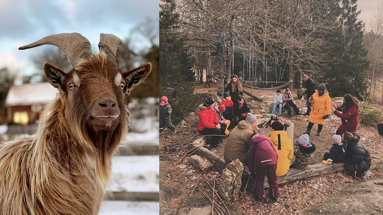 SCHOOL HOLIDAY WITH NATURE EXPERIENCES