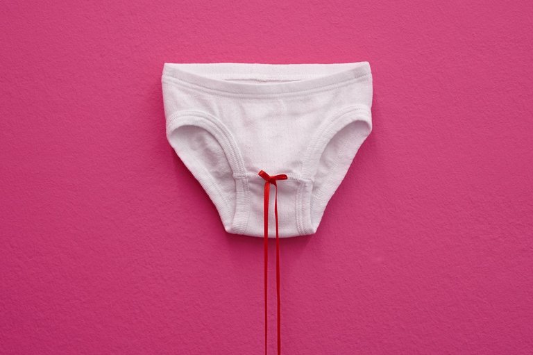 šejla Kameric.jpeg