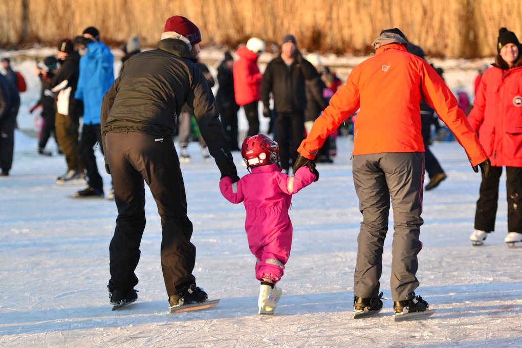 Skate Day at Östermalms IP
