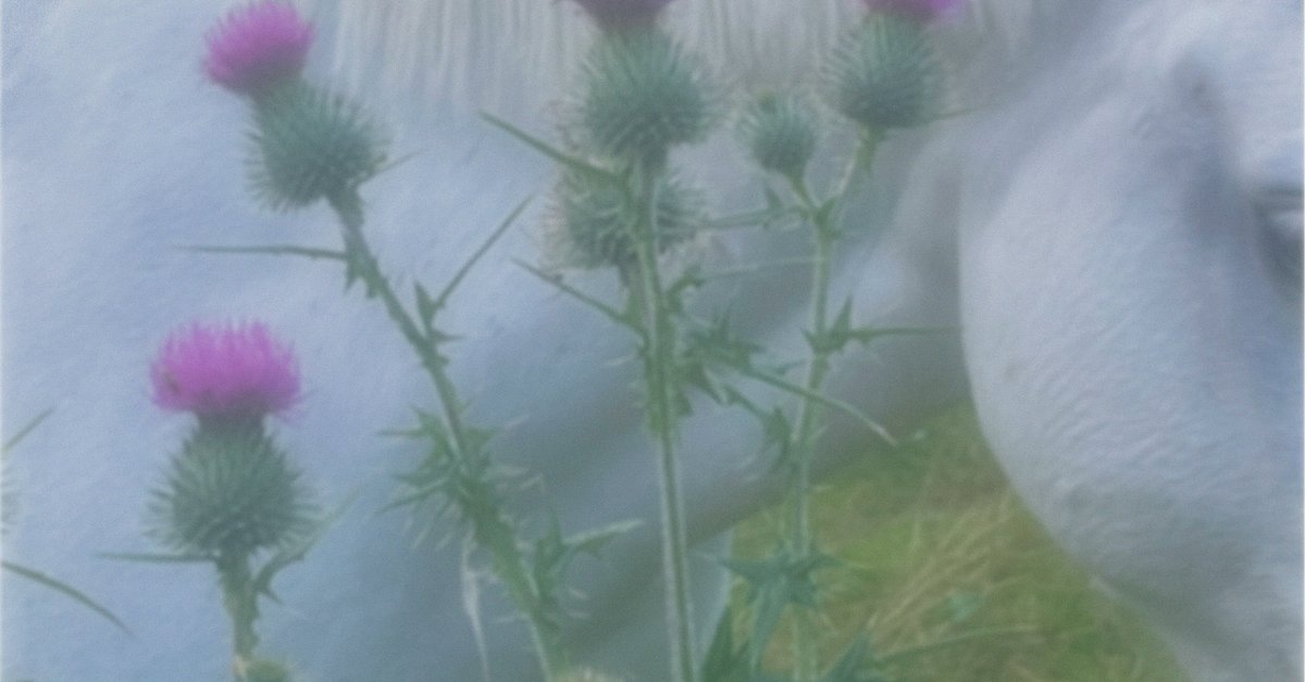 Söderblomster Festival – Stockholm