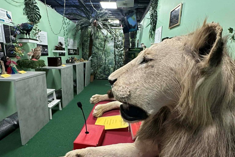 Spring and Summer at Museum of New Experiences