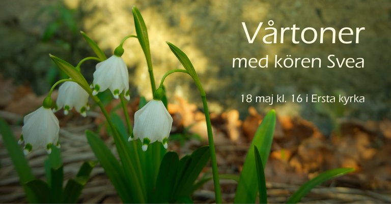 Spring concert with Svea Women's Choir