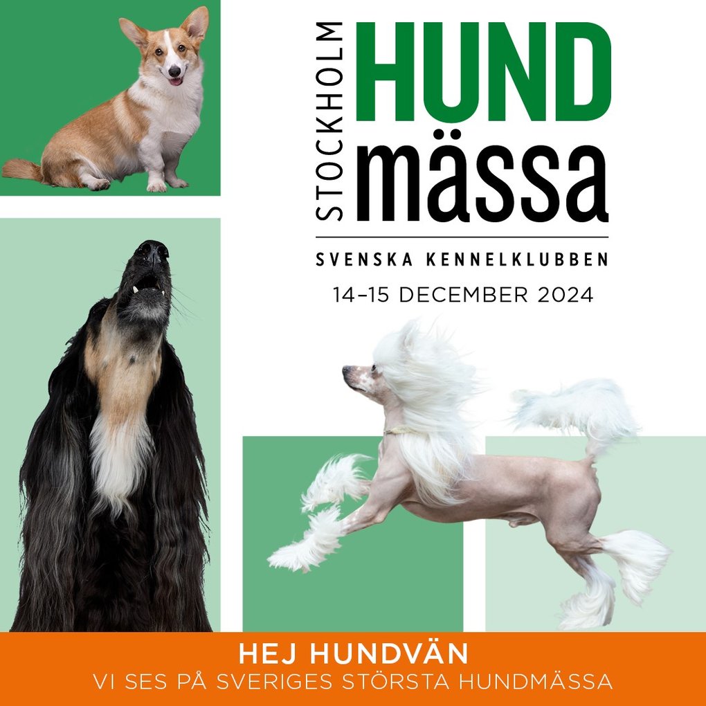Stockholm Hundmässa 2025