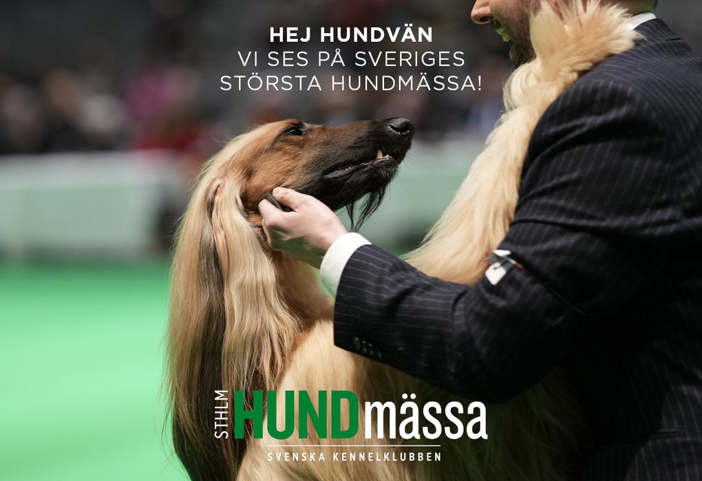 Stockholm Hundmässa