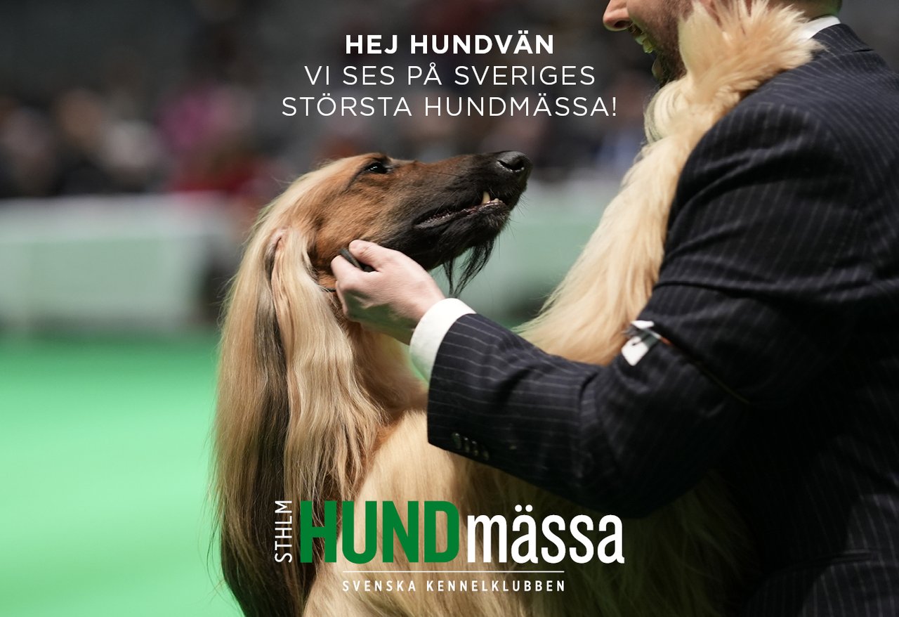 Stockholm Dog Fair 2026