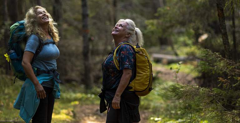 Nature in the Stockholm archipelago. Two women, dressed in outdoors clothes, take a break during a hike a look up at the foliage in a forest.