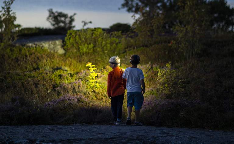 Nature in the Stockholm archipelago. Two boys are exploring nature with night lights during a summer evening.