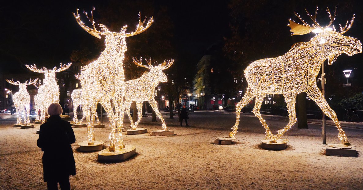 #Stockholmsjul Christmas Lights 2026
