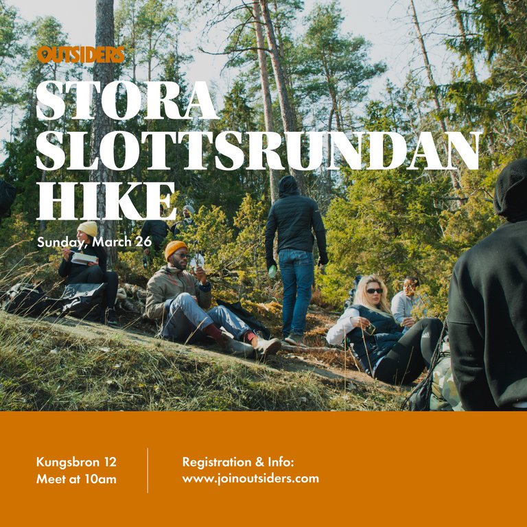 People having a picnic in a forest.