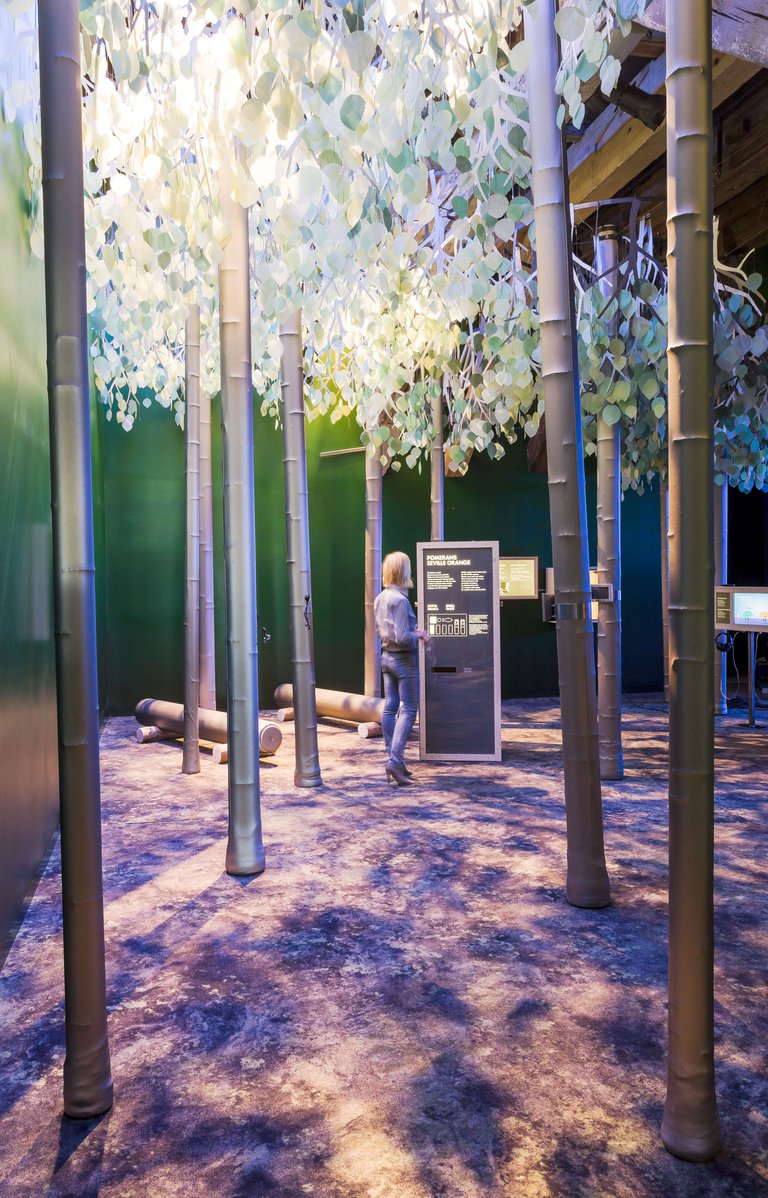 A visitor in an exhibition hall.