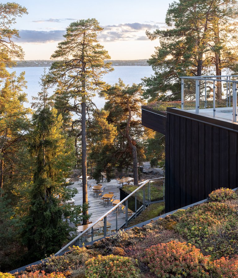 Roof terrace with a view of forest and sea.