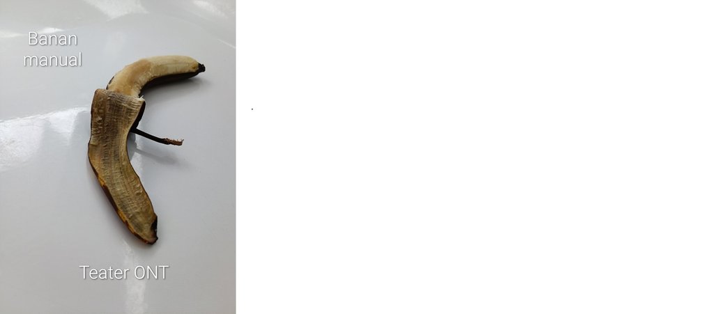 Bananmanual Teater ONT Bokperformance.jpg