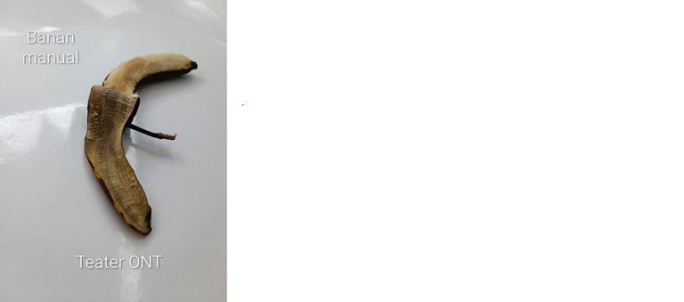 Bananmanual Teater ONT Bokperformance.jpg