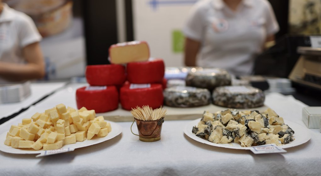 The Cheese Festival