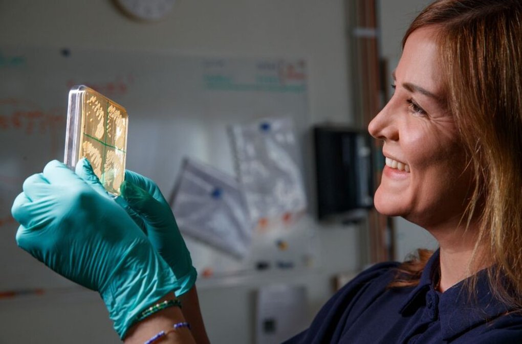 The chemistry of yeast – from Patagonia to local beer