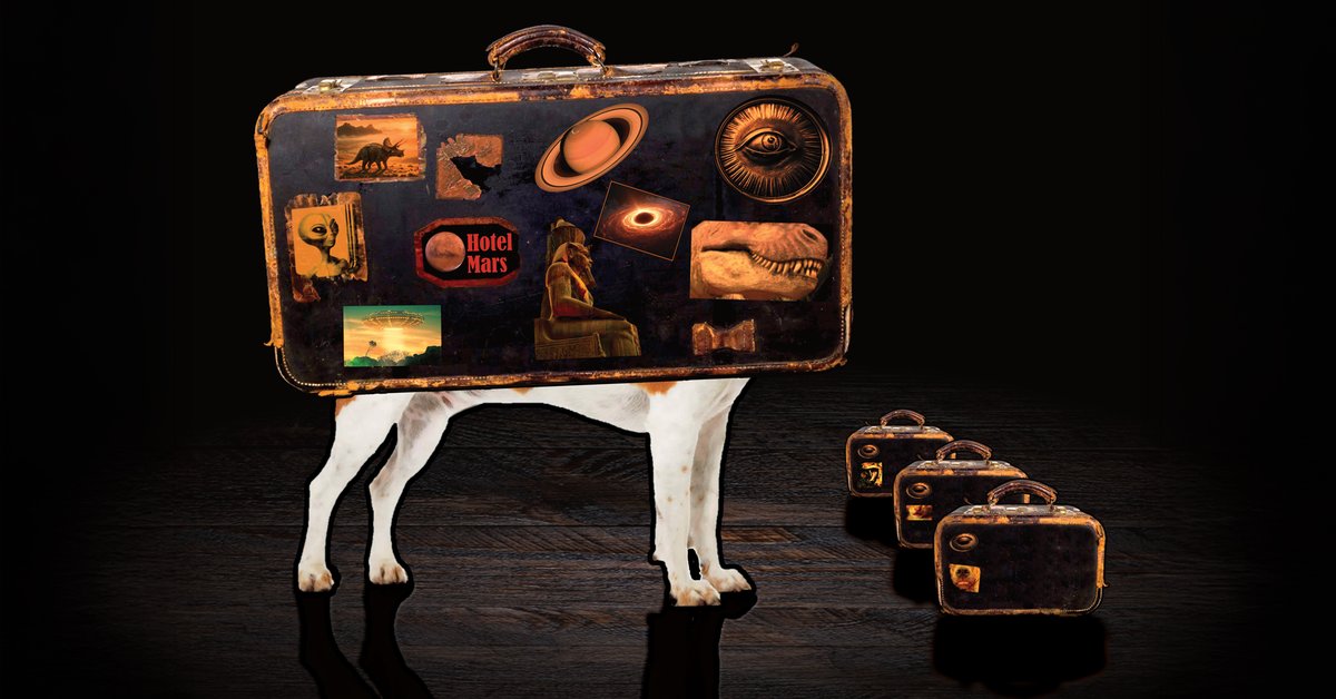 The Curious Case Full of Curious Cases