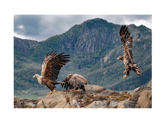 alfstensvik Treenigheten.jpeg