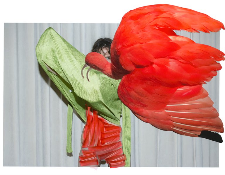 A person stands partially hidden behind an elaborate, surreal collage of oversized red bird wings and a green textured garment. The image combines fashion and abstract art, creating a striking visual contrast between nature and fabric.