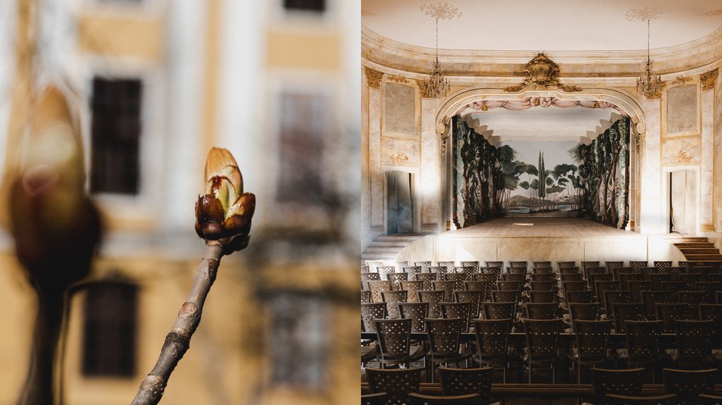 Walpurgis Night Concert