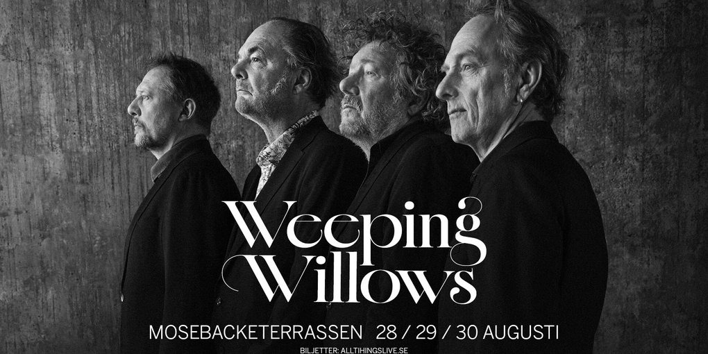Portrait of Weeping willows