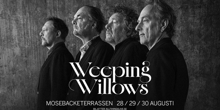 Portrait of Weeping willows