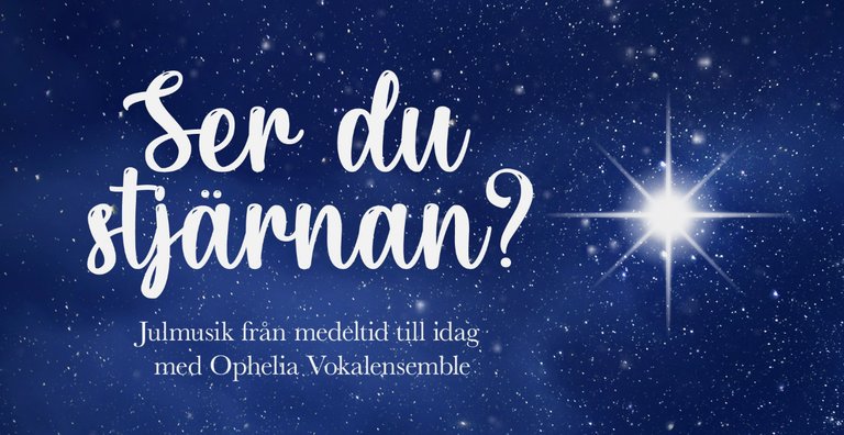 Skärmavbild 2025-10-14 kl. 20.43.28.png