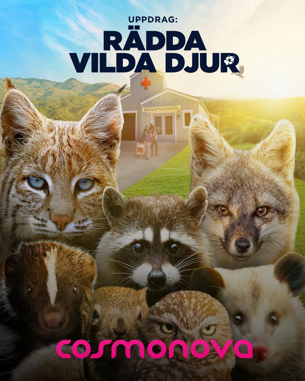 1080 x 1350 px_Rädda vilda djur.png
