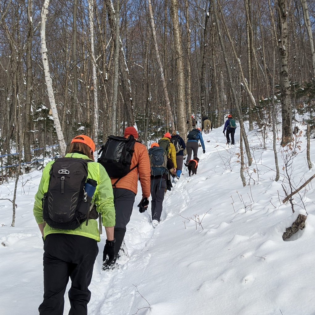 Winter Hiking