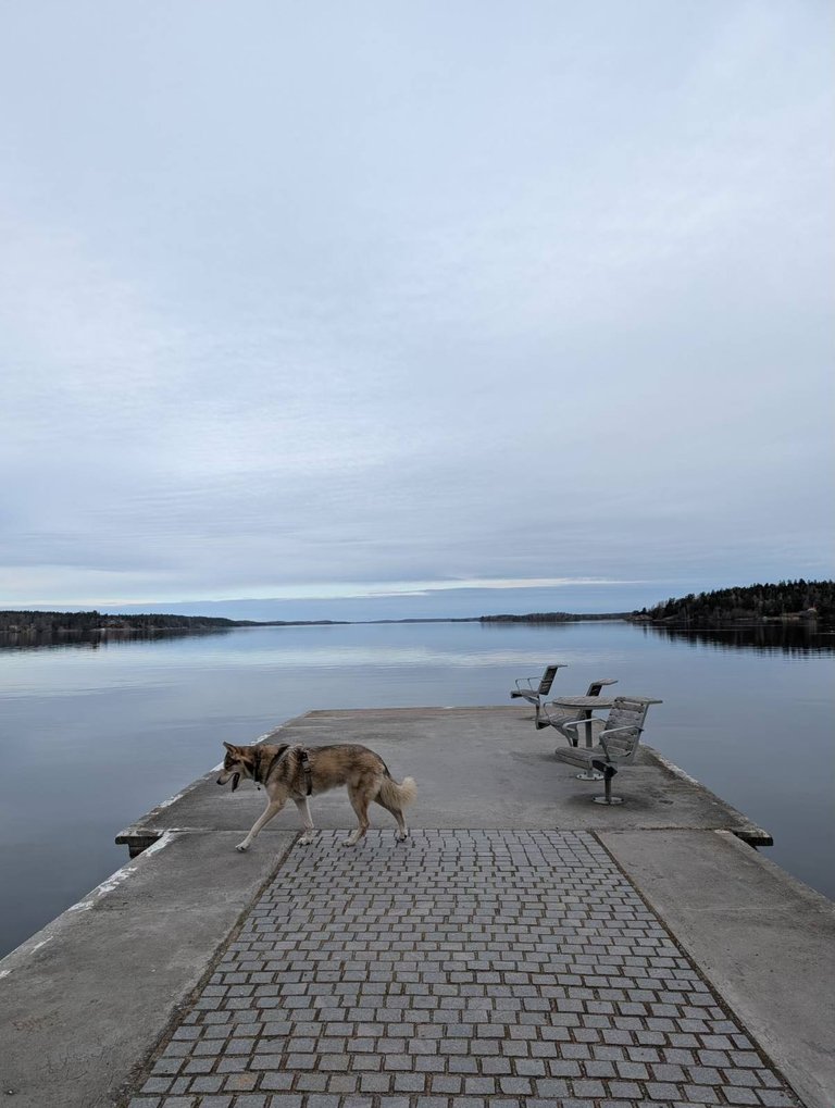 Writers in the Woods — Gåseborg Hike