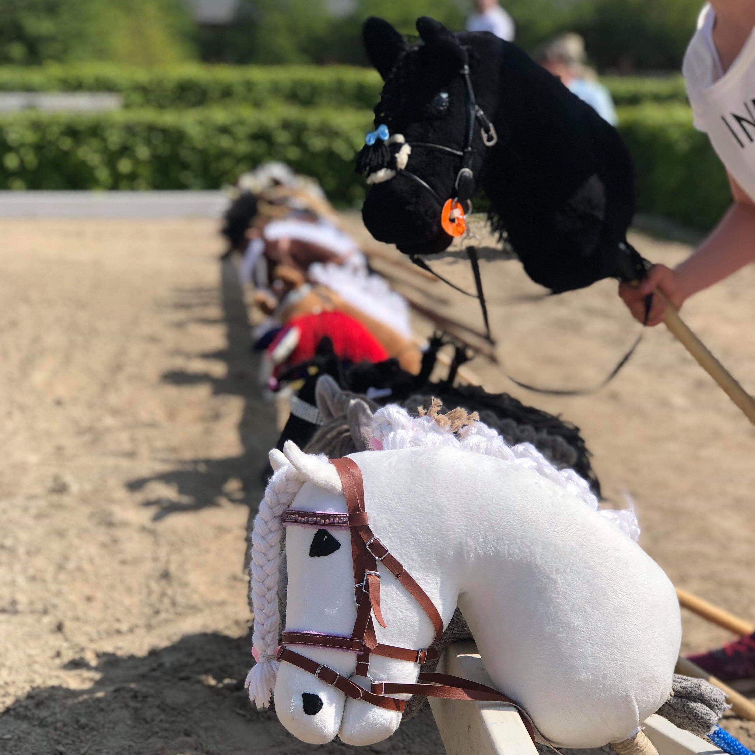 Hobby Horse Jump with Stockholm Horse Week - Visit Stockholm